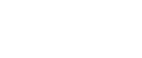 Bull Training