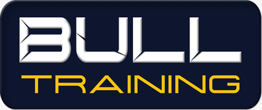 bulltraining